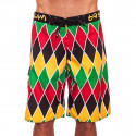 Vyriški maudymosi kostiumėliai 69SLAM Long Boardshort Harlequin