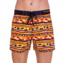 Vyriški maudymosi kostiumėliai 69SLAM Short Boardshort Classic Savana Orange