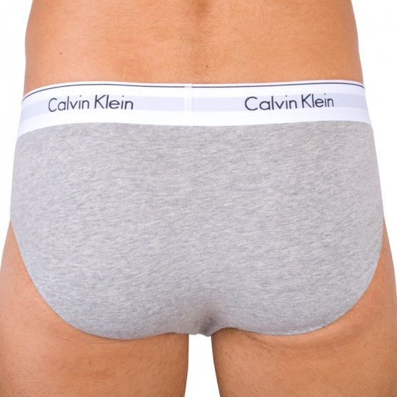 2PACK Vyriškos kelnaitės Calvin Klein multicolour (NB1084A - BHY)