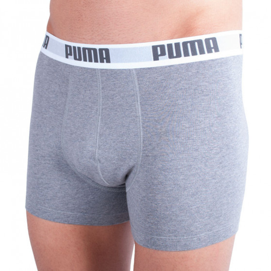 2PACK Vyriški boksininko šortai Puma daugiaspalviai (521015001 072)