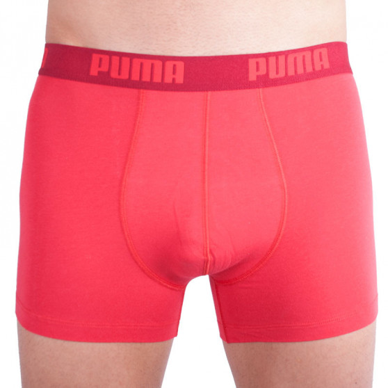 2PACK Vyriški boksininko šortai Puma daugiaspalviai (521015001 072)