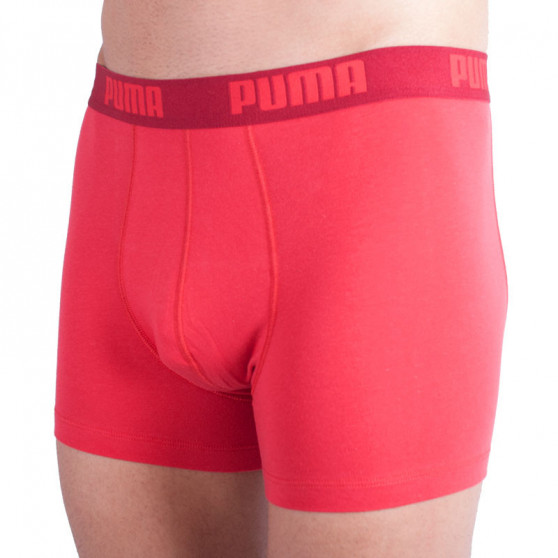 2PACK Vyriški boksininko šortai Puma daugiaspalviai (521015001 072)