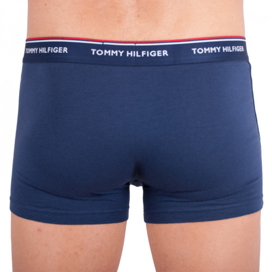 3PACK Vyriški boksininko šortai Tommy Hilfiger daugiaspalviai (1U87903842 424)