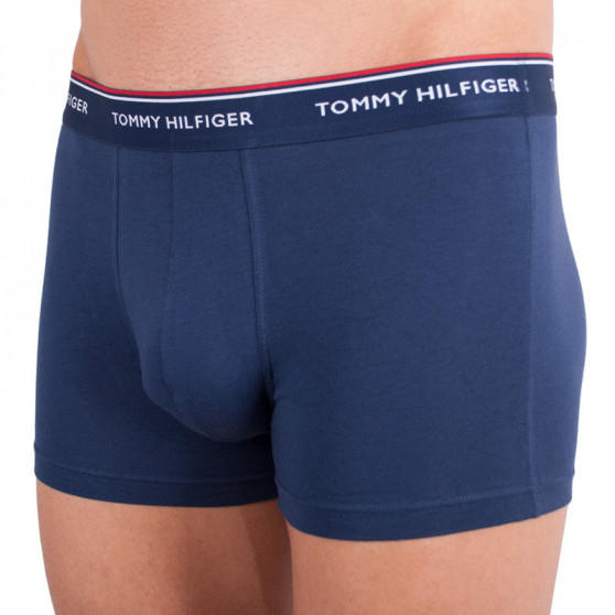 3PACK Vyriški boksininko šortai Tommy Hilfiger daugiaspalviai (1U87903842 424)