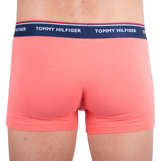 3PACK Vyriški boksininko šortai Tommy Hilfiger daugiaspalviai (1U87903842 424)