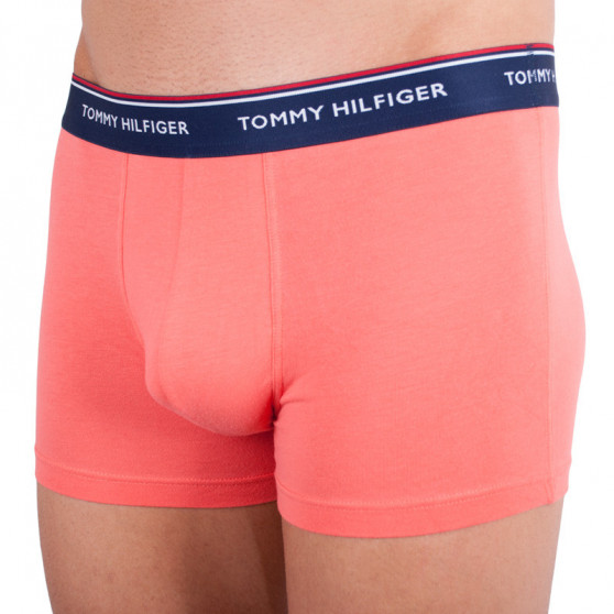 3PACK Vyriški boksininko šortai Tommy Hilfiger daugiaspalviai (1U87903842 424)