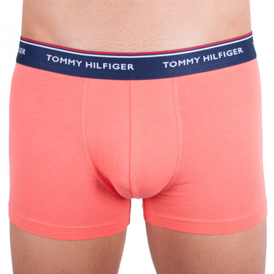 3PACK Vyriški boksininko šortai Tommy Hilfiger daugiaspalviai (1U87903842 424)