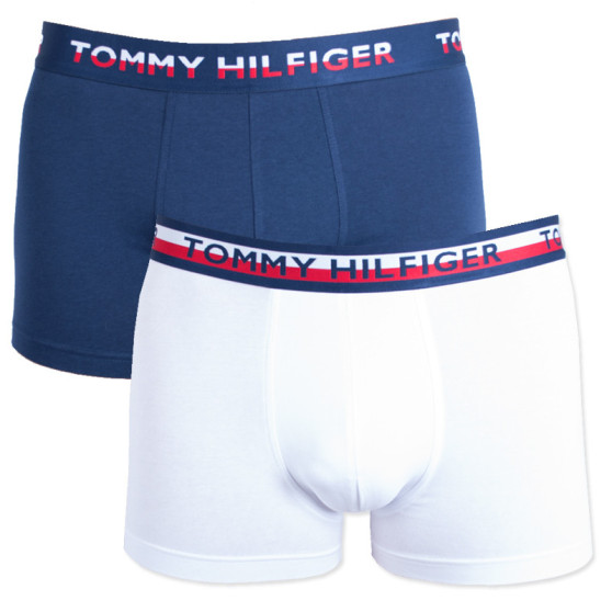 2PACK Vyriški boksininko šortai Tommy Hilfiger daugiaspalviai (UM0UM00746 222)