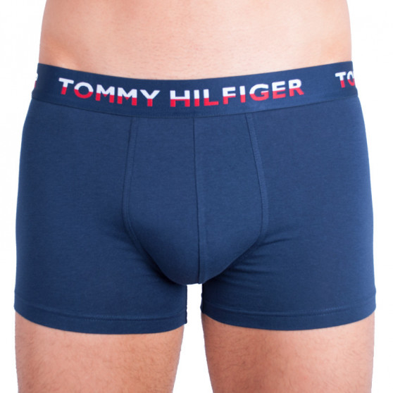 2PACK Vyriški boksininko šortai Tommy Hilfiger daugiaspalviai (UM0UM00746 222)