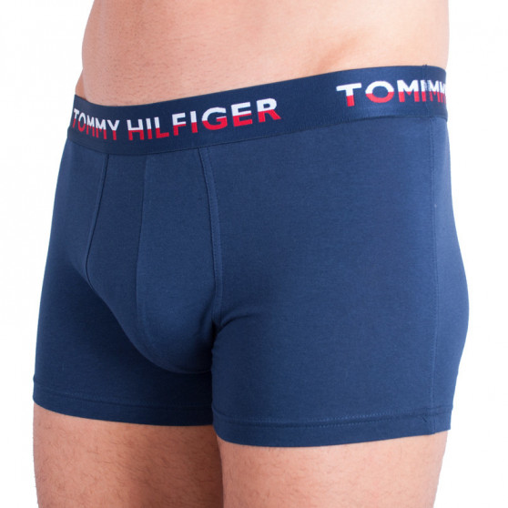 2PACK Vyriški boksininko šortai Tommy Hilfiger daugiaspalviai (UM0UM00746 222)