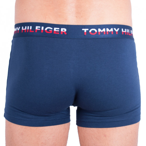 2PACK Vyriški boksininko šortai Tommy Hilfiger daugiaspalviai (UM0UM00746 222)