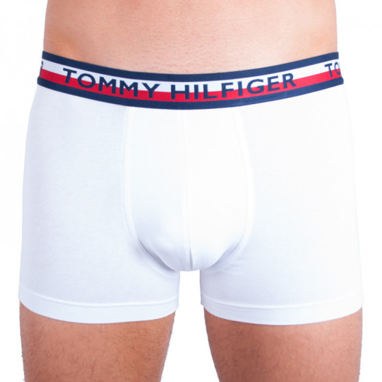 2PACK Vyriški boksininko šortai Tommy Hilfiger daugiaspalviai (UM0UM00746 222)