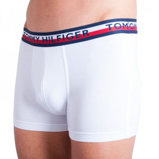 2PACK Vyriški boksininko šortai Tommy Hilfiger daugiaspalviai (UM0UM00746 222)