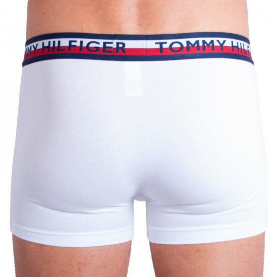 2PACK Vyriški boksininko šortai Tommy Hilfiger daugiaspalviai (UM0UM00746 222)