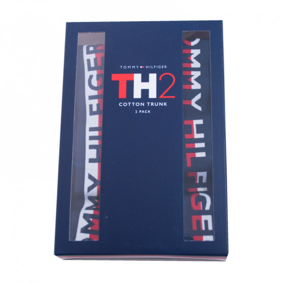 2PACK Vyriški boksininko šortai Tommy Hilfiger daugiaspalviai (UM0UM00746 222)