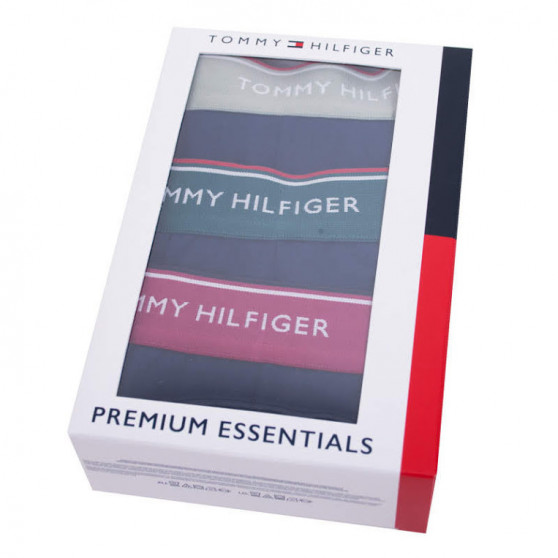 3PACK Vyriški boksininko šortai Tommy Hilfiger tamsiai mėlyni (1U87903842 638)