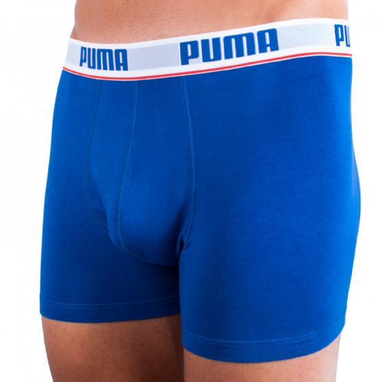 2PACK Vyriški boksininko šortai Puma daugiaspalviai (671001001 277)