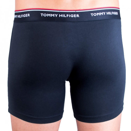 3PACK Vyriški boksininko šortai Tommy Hilfiger daugiaspalviai (UM0UM00010 004)