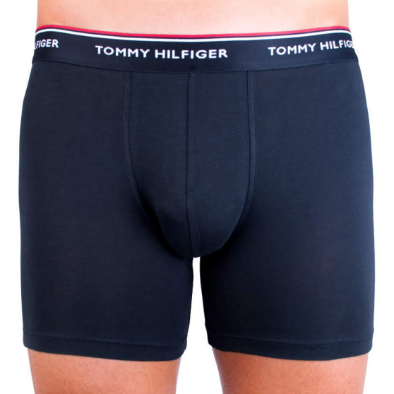 3PACK Vyriški boksininko šortai Tommy Hilfiger daugiaspalviai (UM0UM00010 004)