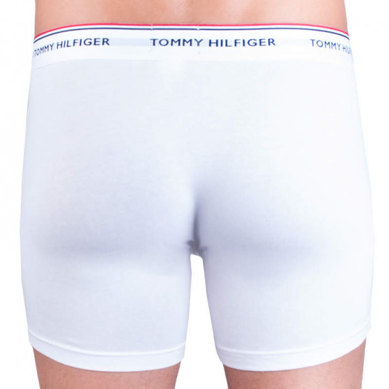 3PACK Vyriški boksininko šortai Tommy Hilfiger daugiaspalviai (UM0UM00010 004)