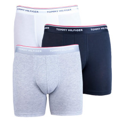 3PACK Vyriški boksininko šortai Tommy Hilfiger daugiaspalviai (UM0UM00010 004)