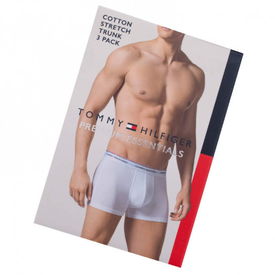 3PACK Vyriški boksininko šortai Tommy Hilfiger daugiaspalviai (UM0UM00010 004)