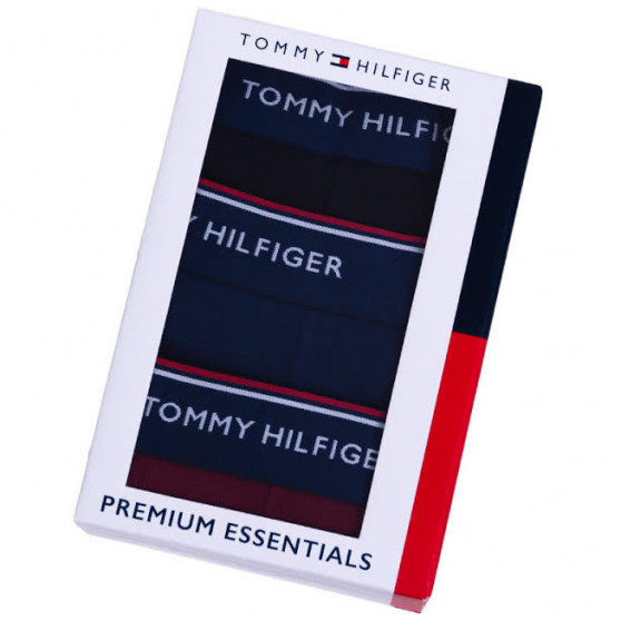 3PACK Vyriškos kelnaitės Tommy Hilfiger multicolour (1U87903766 096)