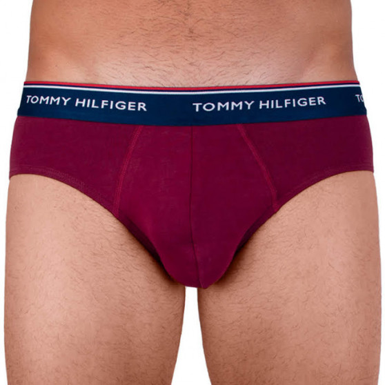 3PACK Vyriškos kelnaitės Tommy Hilfiger multicolour (1U87903766 096)