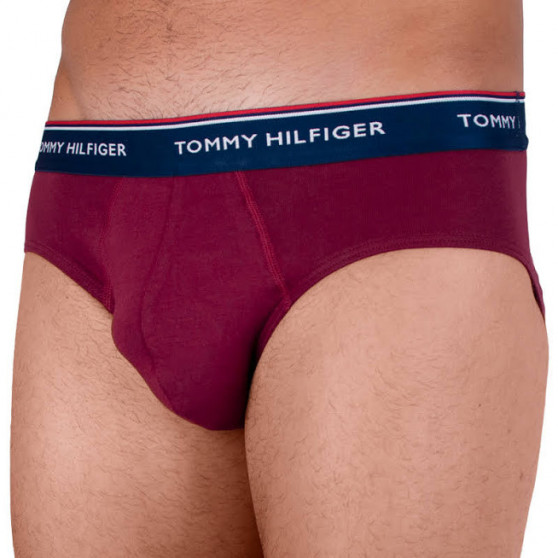 3PACK Vyriškos kelnaitės Tommy Hilfiger multicolour (1U87903766 096)