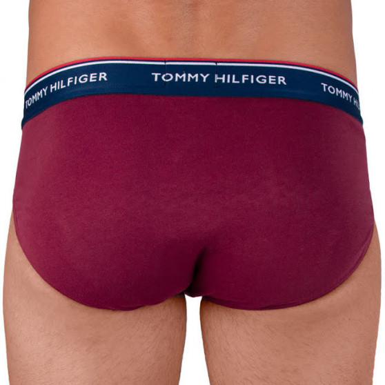 3PACK Vyriškos kelnaitės Tommy Hilfiger multicolour (1U87903766 096)