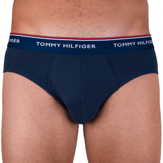 3PACK Vyriškos kelnaitės Tommy Hilfiger multicolour (1U87903766 096)