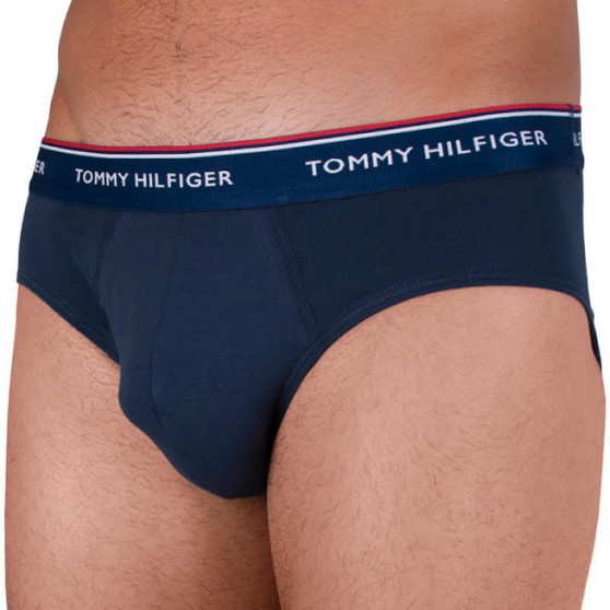 3PACK Vyriškos kelnaitės Tommy Hilfiger multicolour (1U87903766 096)