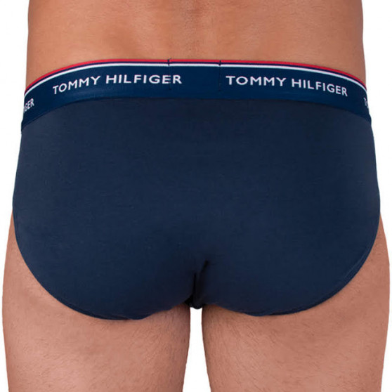 3PACK Vyriškos kelnaitės Tommy Hilfiger multicolour (1U87903766 096)