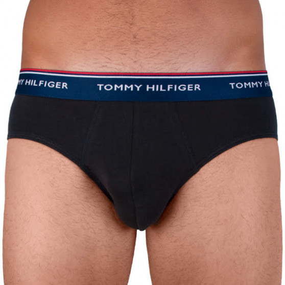 3PACK Vyriškos kelnaitės Tommy Hilfiger multicolour (1U87903766 096)