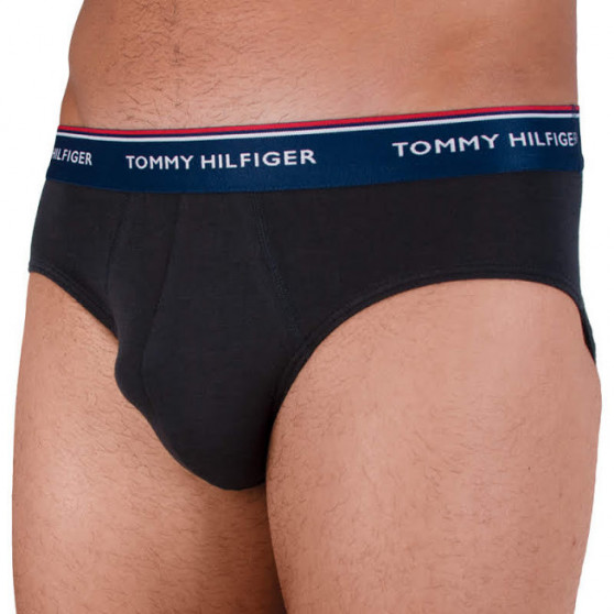 3PACK Vyriškos kelnaitės Tommy Hilfiger multicolour (1U87903766 096)