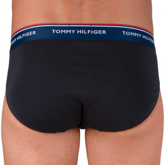 3PACK Vyriškos kelnaitės Tommy Hilfiger multicolour (1U87903766 096)