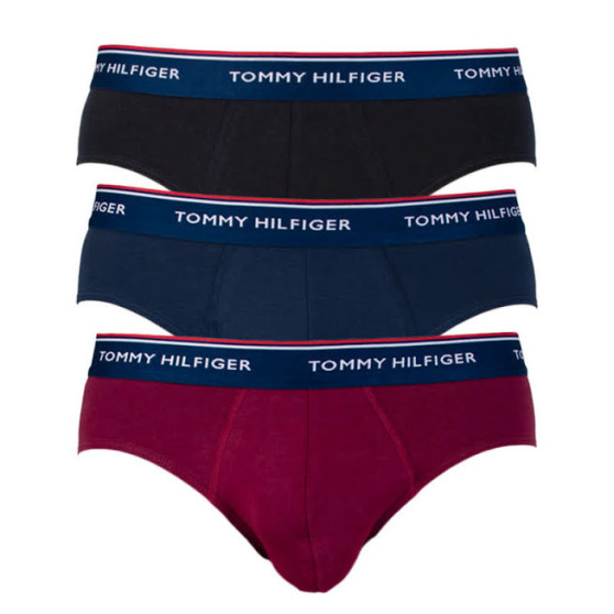 3PACK Vyriškos kelnaitės Tommy Hilfiger multicolour (1U87903766 096)