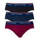 3PACK Vyriškos kelnaitės Tommy Hilfiger multicolour (1U87903766 096)