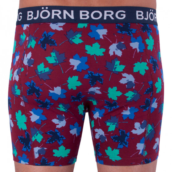 2PACK Vyriški boksininko šortai Bjorn Borg daugiaspalviai (1841-1204-40501)