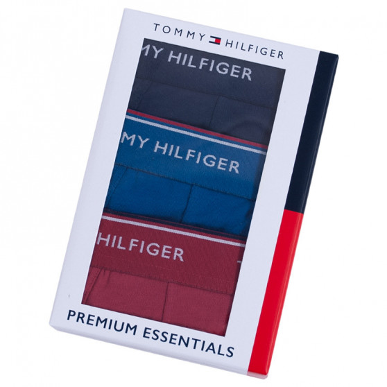 3PACK Vyriški boksininko šortai Tommy Hilfiger daugiaspalviai (UM0UM00010 071)