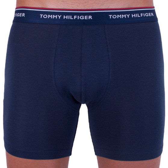 3PACK Vyriški boksininko šortai Tommy Hilfiger daugiaspalviai (UM0UM00010 071)