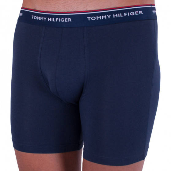 3PACK Vyriški boksininko šortai Tommy Hilfiger daugiaspalviai (UM0UM00010 071)