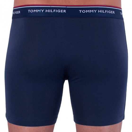 3PACK Vyriški boksininko šortai Tommy Hilfiger daugiaspalviai (UM0UM00010 071)