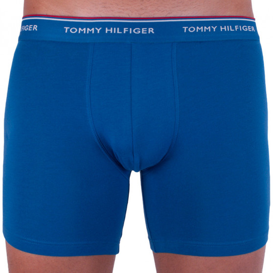 3PACK Vyriški boksininko šortai Tommy Hilfiger daugiaspalviai (UM0UM00010 071)