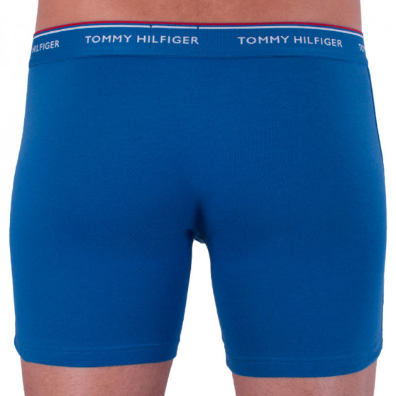 3PACK Vyriški boksininko šortai Tommy Hilfiger daugiaspalviai (UM0UM00010 071)