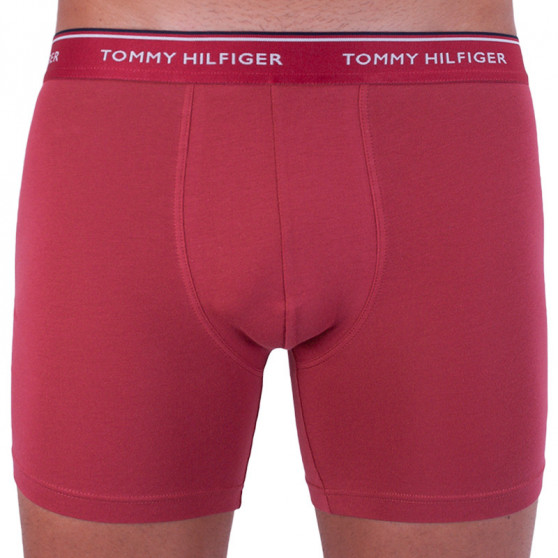 3PACK Vyriški boksininko šortai Tommy Hilfiger daugiaspalviai (UM0UM00010 071)