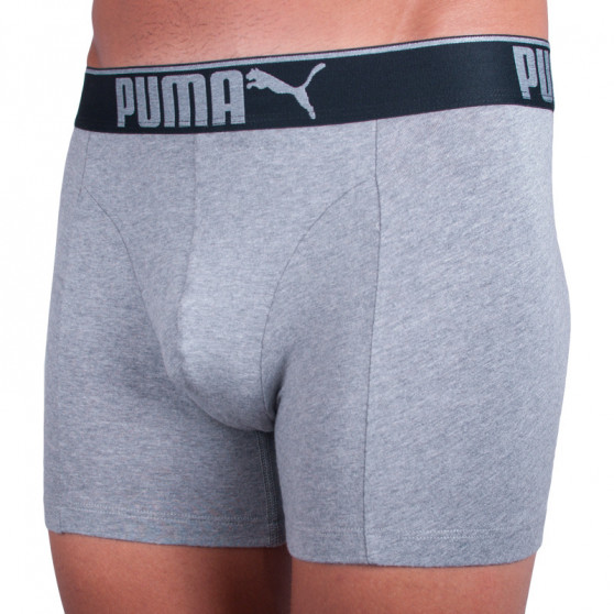 3PACK Vyriški boksininkų šortai Puma pilka (681030001 032)