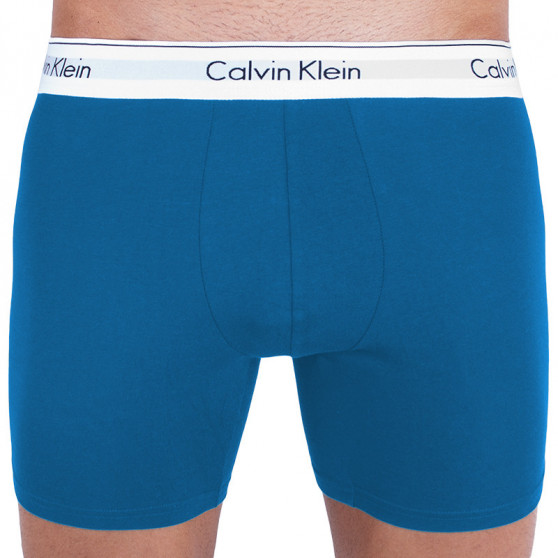 2PACK Vyriški boksininko šortai Calvin Klein daugiaspalviai (NB1087A-SBN)