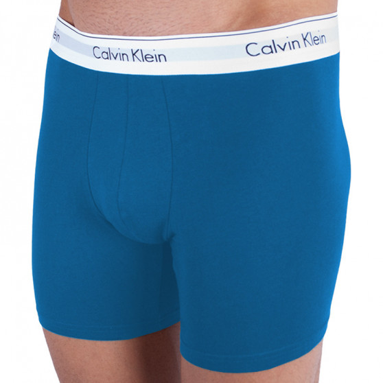 2PACK Vyriški boksininko šortai Calvin Klein daugiaspalviai (NB1087A-SBN)