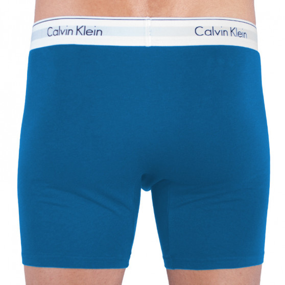 2PACK Vyriški boksininko šortai Calvin Klein daugiaspalviai (NB1087A-SBN)